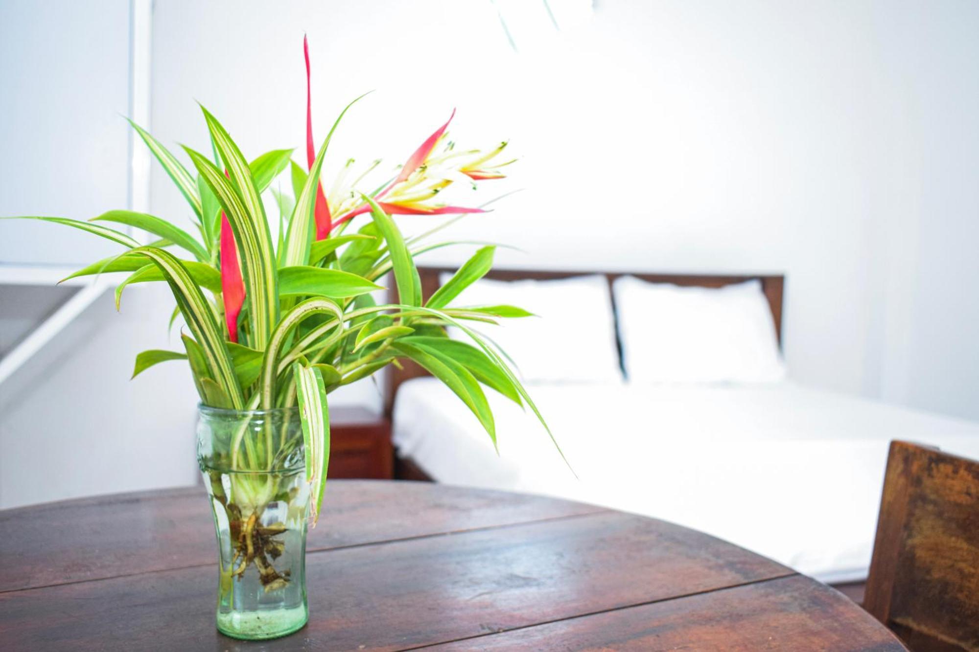 The Emerald Guest House & Villa อูนาวาตูนา ภายนอก รูปภาพ